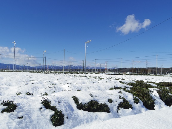 ����ǂ��䂭 In ����܂R