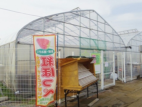 ����ǂ��䂭 In ����܂R