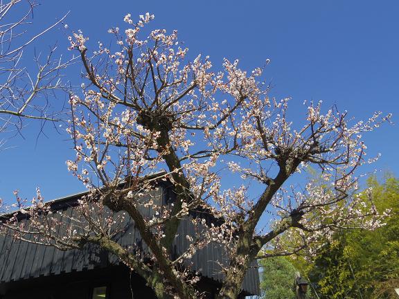 ����ǂ��䂭 In ����܂R