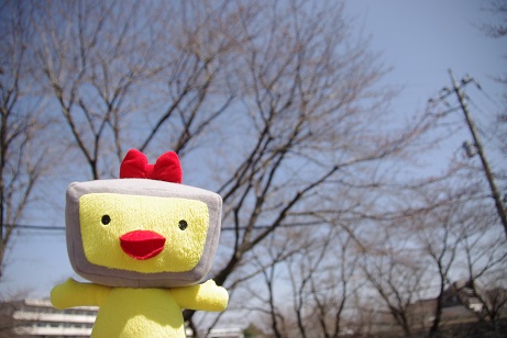 ����ǂ��䂭 In ����܂R