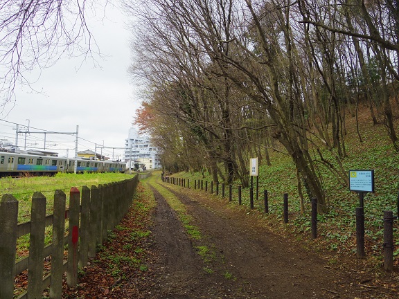 ����ǂ��䂭 In ����܂R