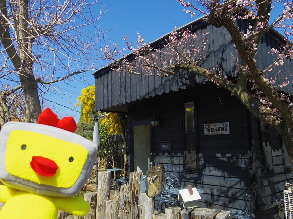 ����ǂ��䂭 In ����܂R