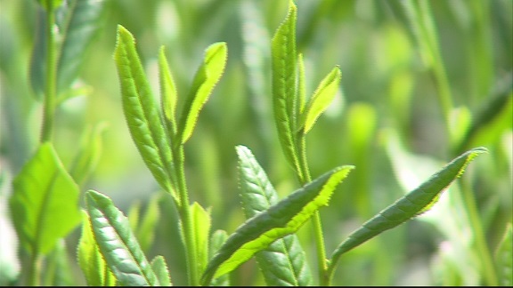 ����ǂ��䂭 In ����܂R