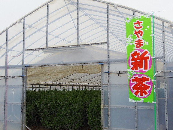 ����ǂ��䂭 In ����܂R