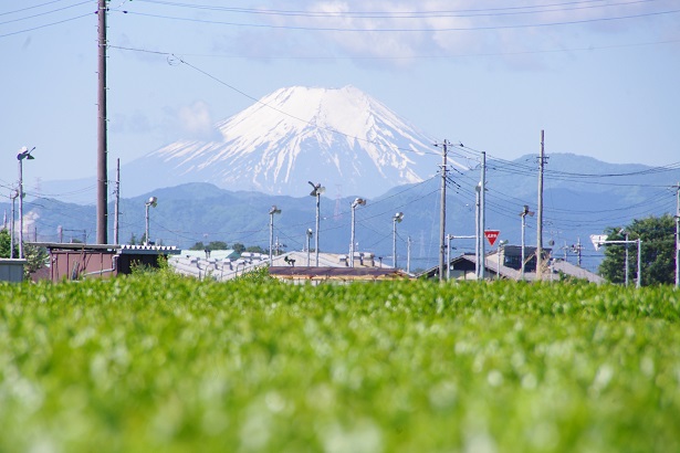 ����ǂ��䂭 In ����܂R