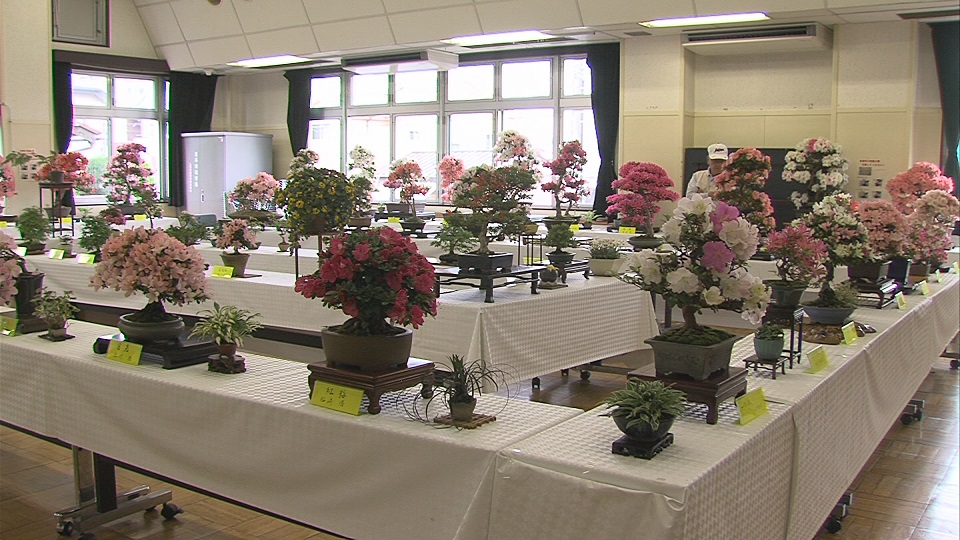 ����ǂ��䂭 In ����܂R