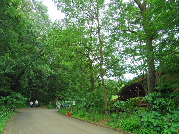 ����ǂ��䂭 In ����܂R