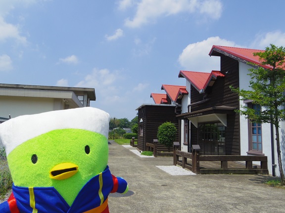 ����ǂ��䂭 In ����܂R