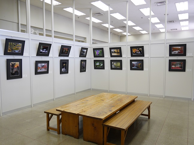 ����ǂ��䂭 In ����܂R