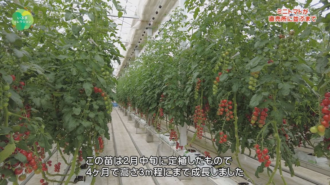 ǂ䂭 In ܂R