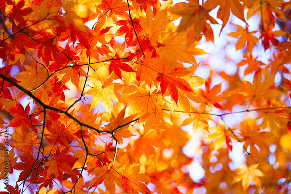 gt̋GߓIiǂ䂭 In ܂Rj