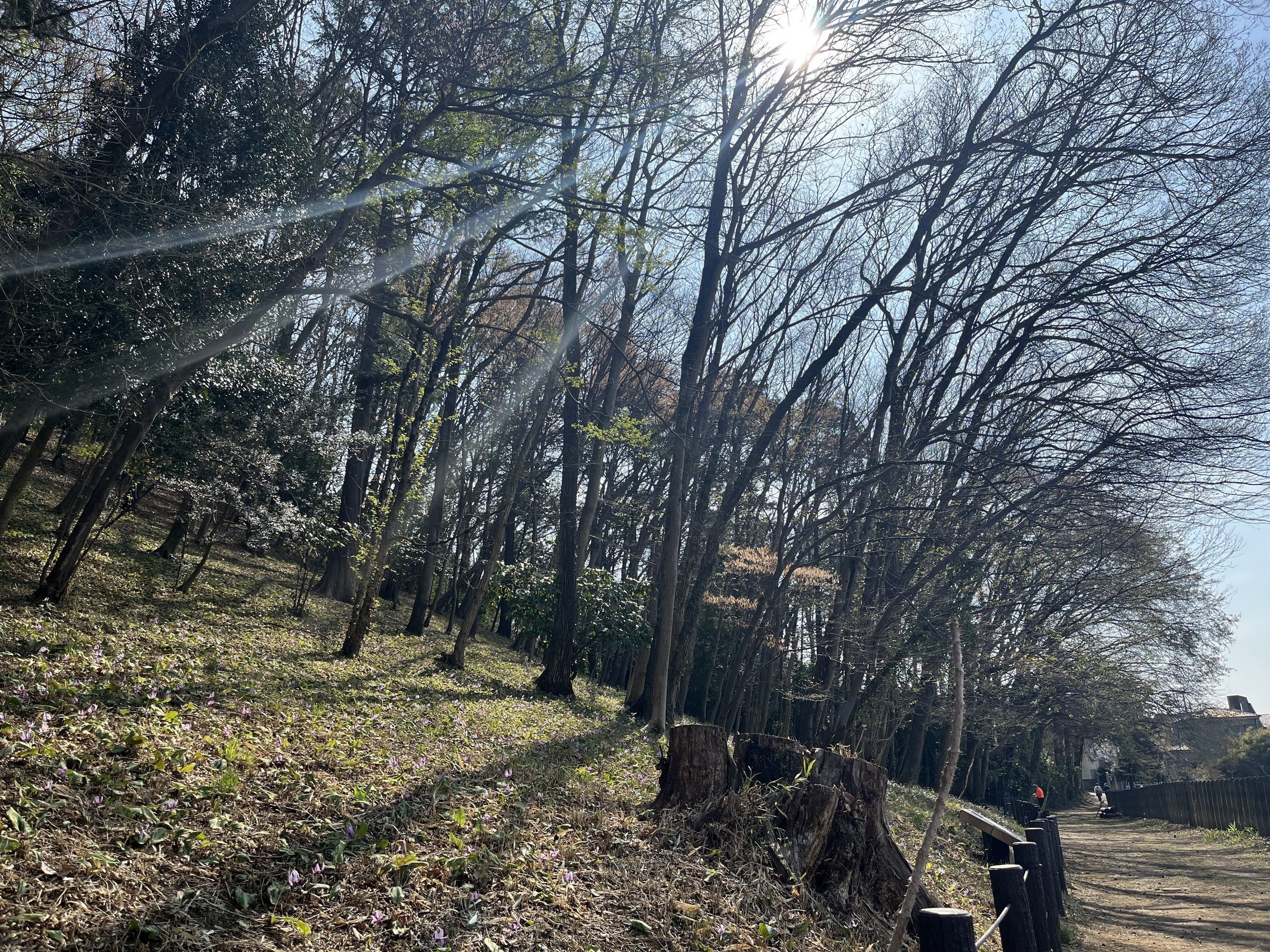 ����̃J�^�N���������ł���I�i����ǂ��䂭 In ����܂R�j