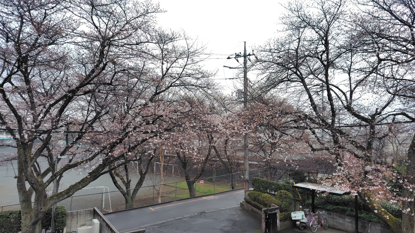 ���Ԏs�������N���������c��48�������t��i����ǂ��䂭 In ����܂R�j