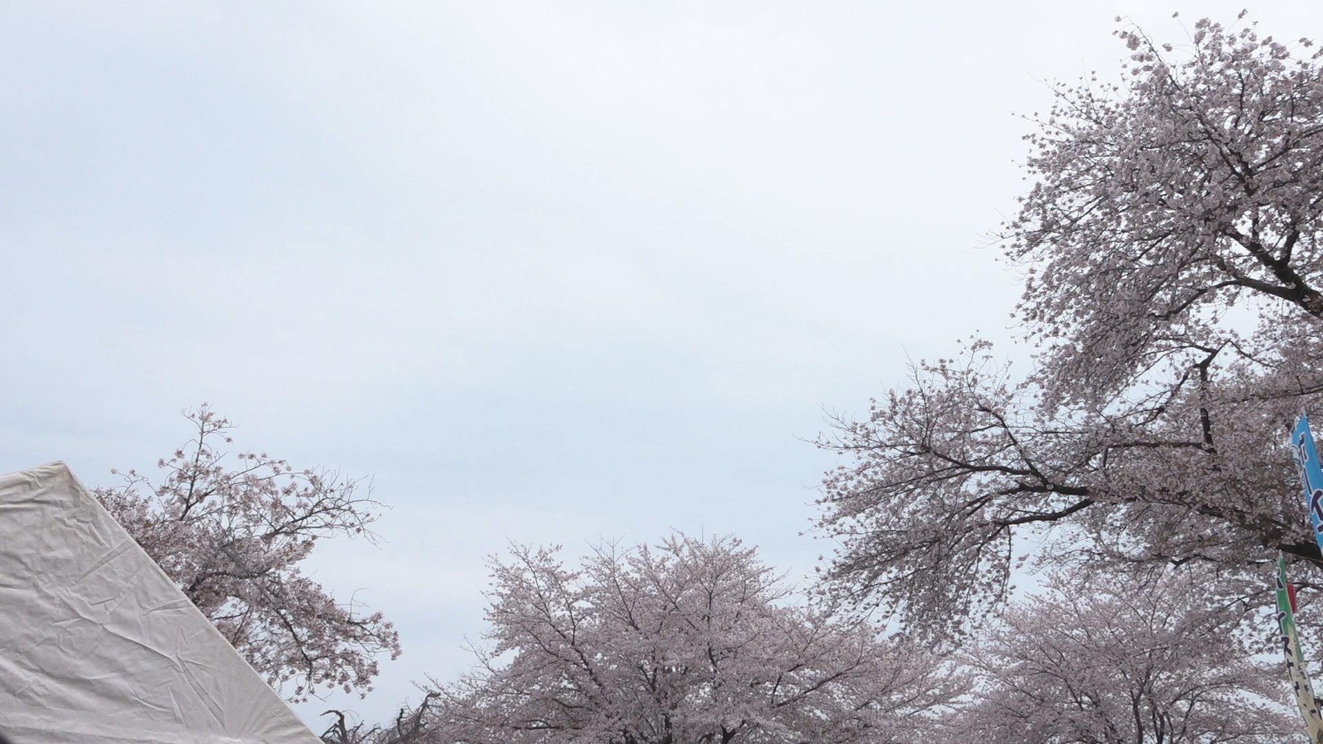 �����炳�����i����ǂ��䂭 In ����܂R�j