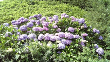 �T�|�[�g�ʐM