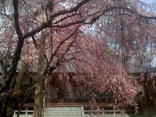 �T�|�[�g�ʐM