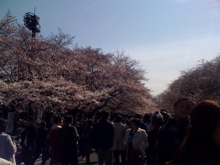 �T�|�[�g�ʐM