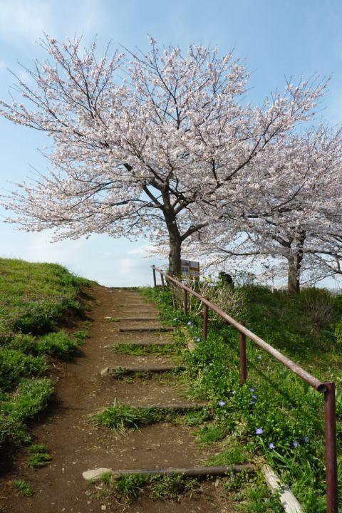 �T�|�[�g�ʐM