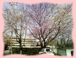 �T�|�[�g�ʐM