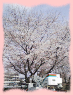 �T�|�[�g�ʐM