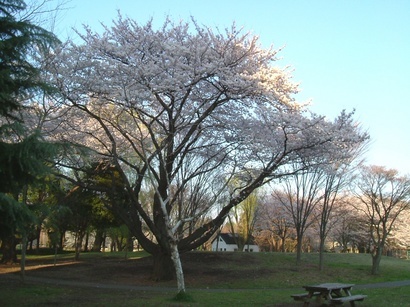 �T�|�[�g�ʐM