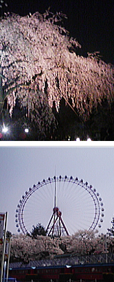 �T�|�[�g�ʐM