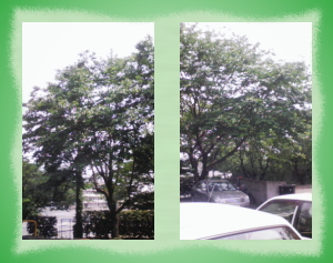 �T�|�[�g�ʐM