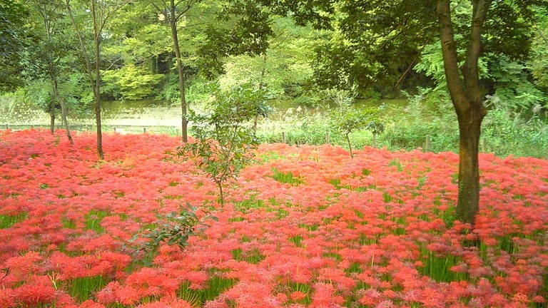 �T�|�[�g�ʐM