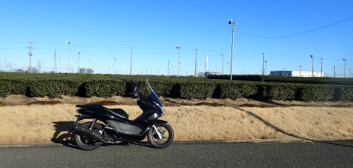 XR