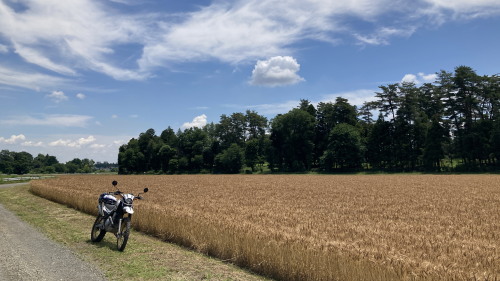 XR002