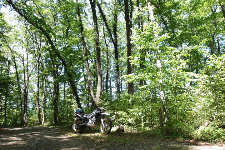XR002