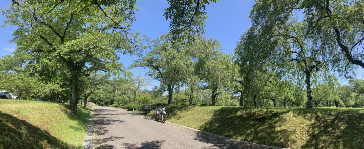 XR002