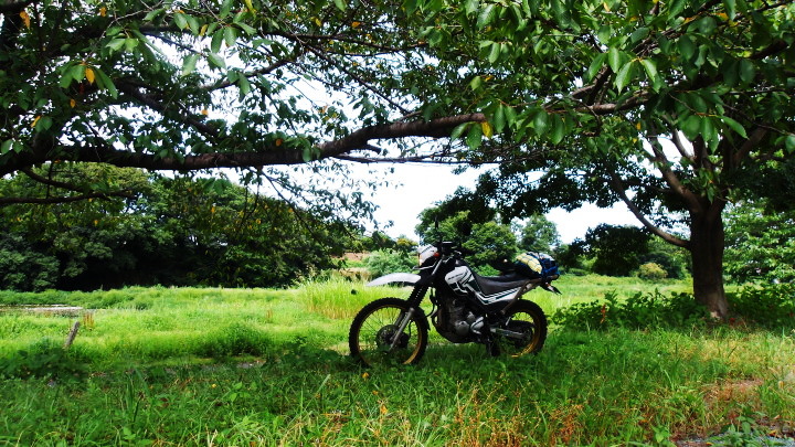 XR002