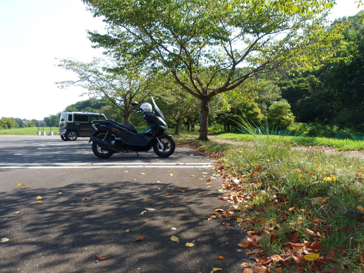 XR002