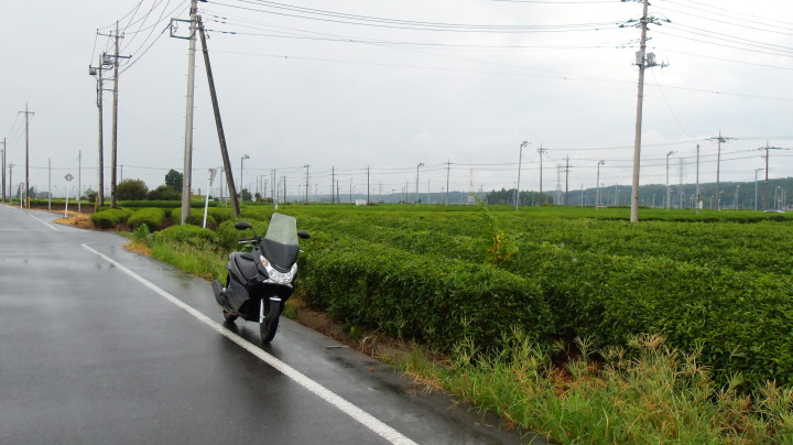 XR002