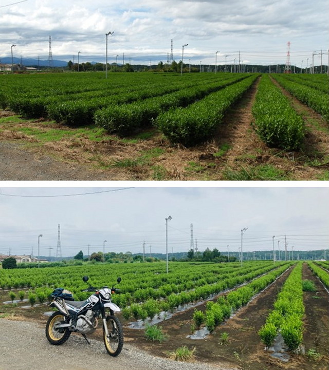 XR002