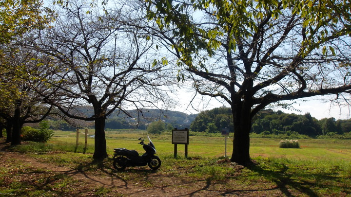 XR002