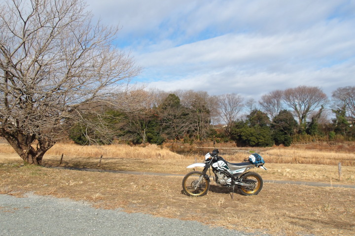 ���菉�߁iXR����002�j