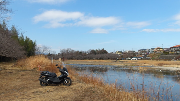 ��̒����͂ꑐ�iXR����002�j