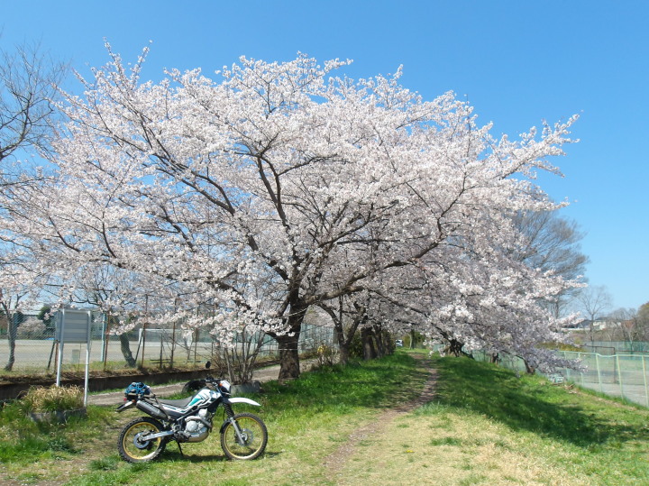 ���J�ԋ߁iXR����002�j