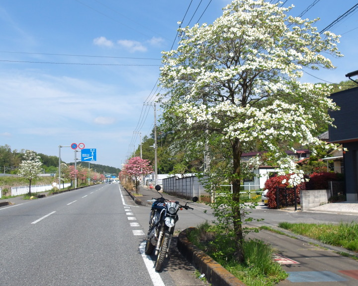 �n�i�~�Y�L�iXR����002�j