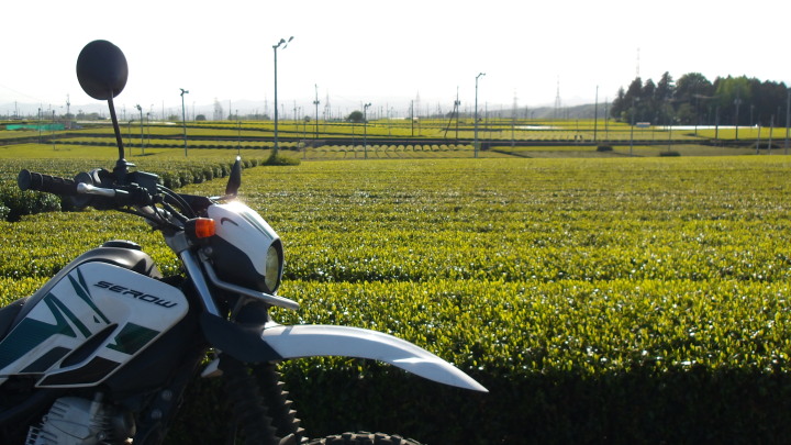 �����̐F���ς���Ă����iXR����002�j