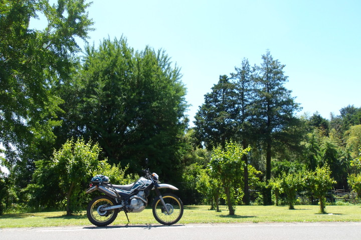 �~�J����O�iXR����002�j