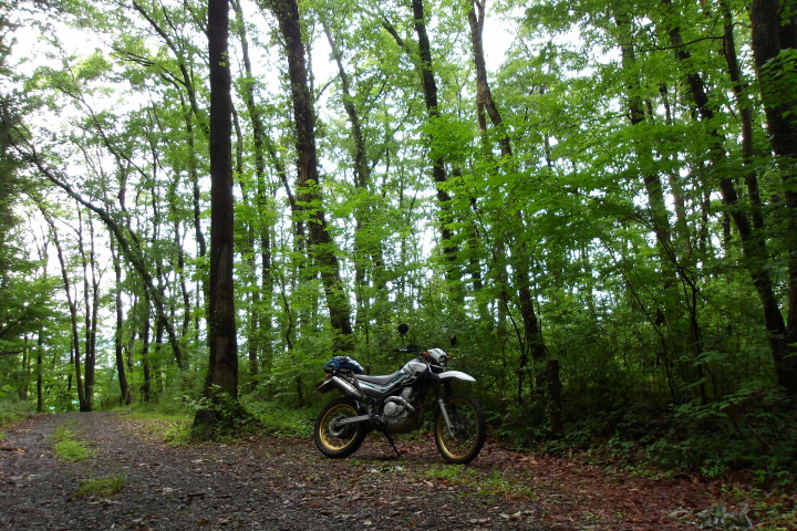 XR����002