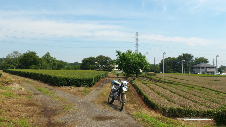 XR����002