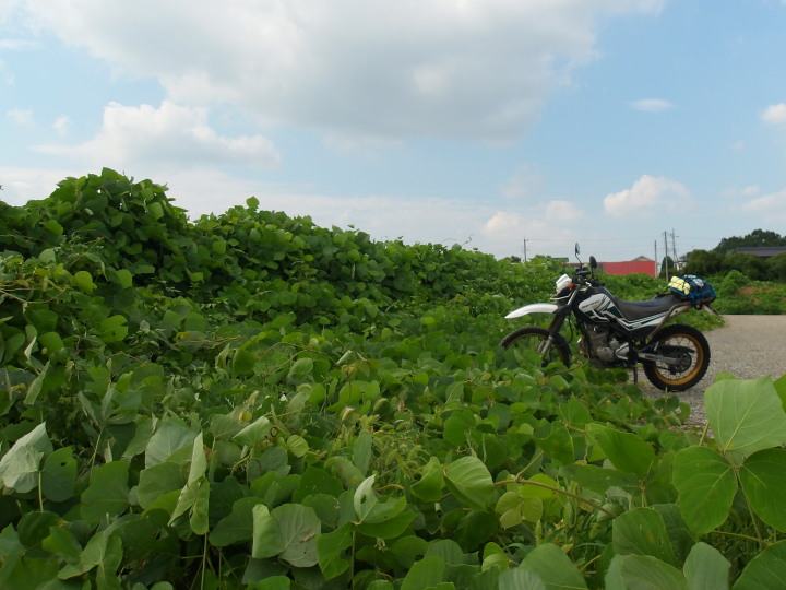 �鑐�iXR����002�j