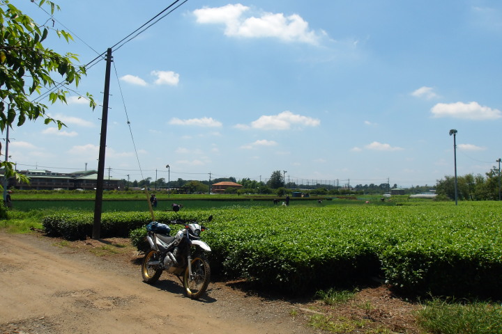 �������������iXR����002�j