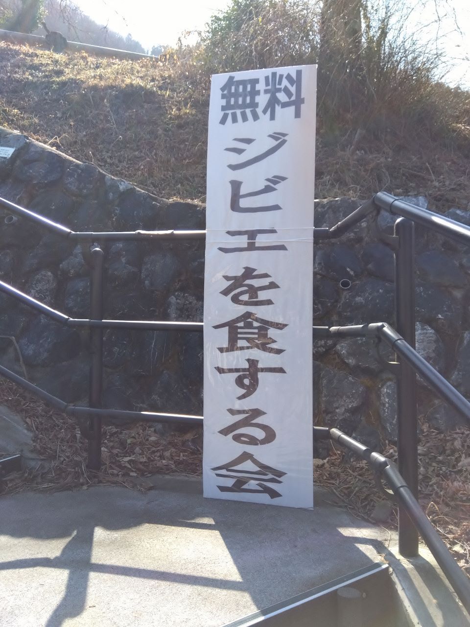 �l�̂P�\��(�ЂƂ育��)