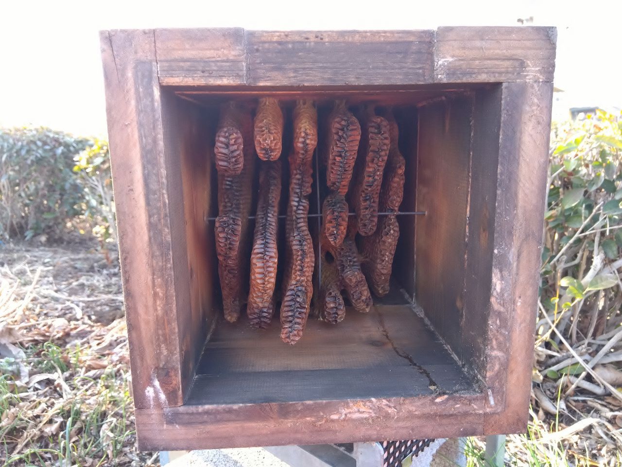 �l�̂P�\��(�ЂƂ育��)