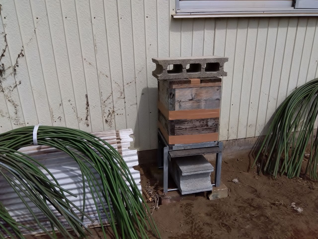 �҂�����ݒu���ċ���܂��I�i�l�̂P�\��(�ЂƂ育��)�j